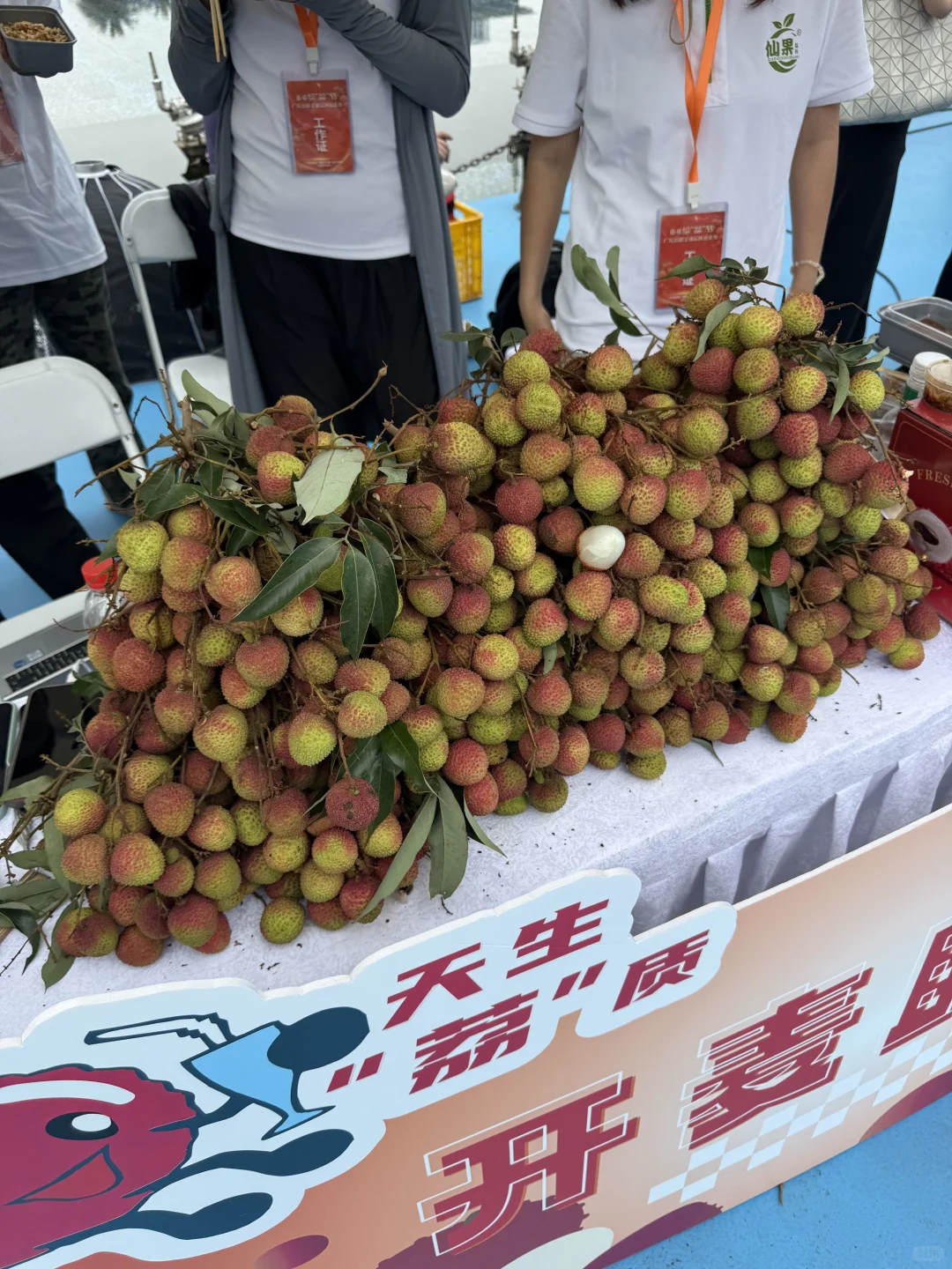 今天来海心沙参加 6·6 给“荔”节