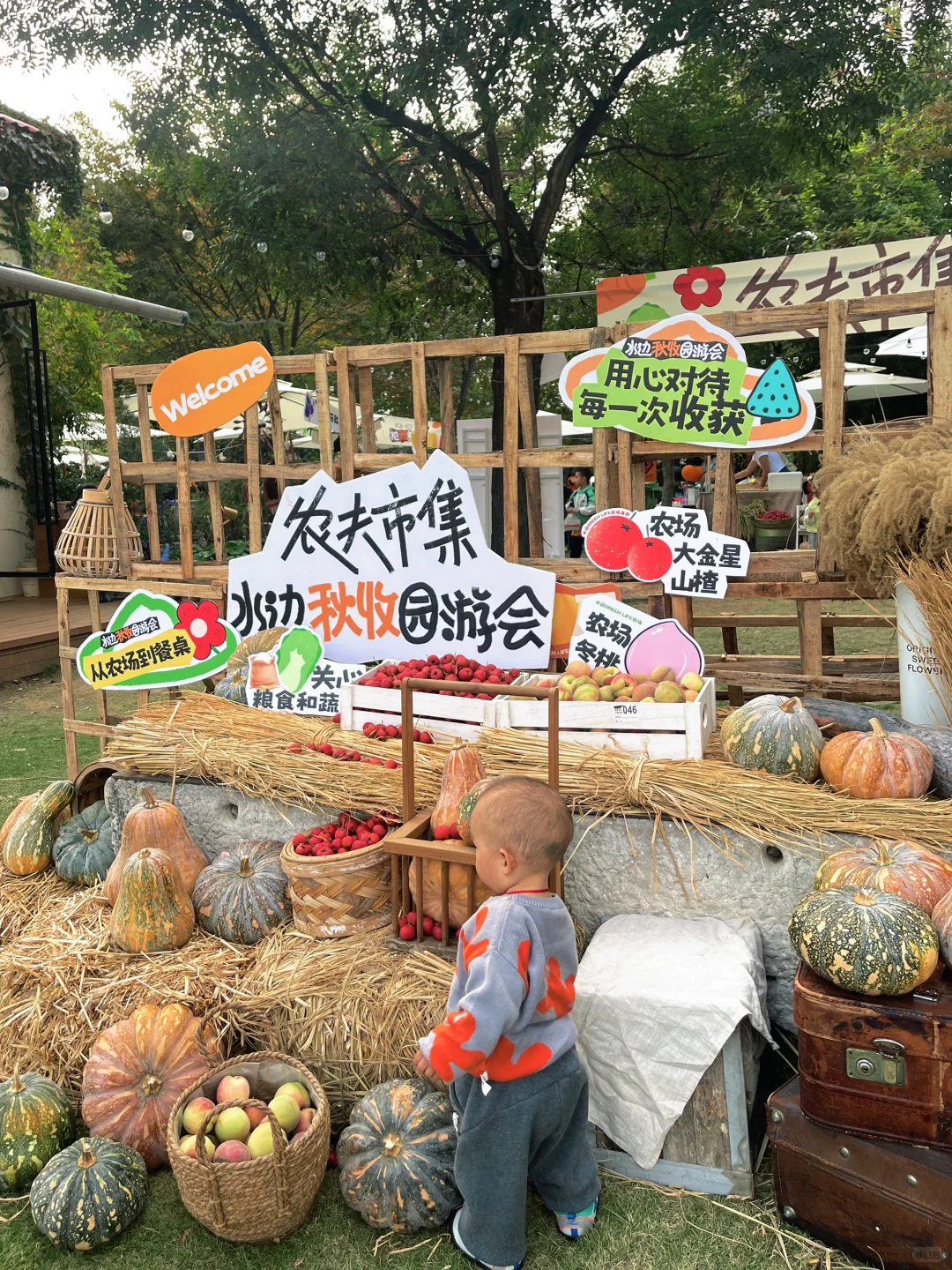 秋日游园会?农夫市集?用心对待每一次收获