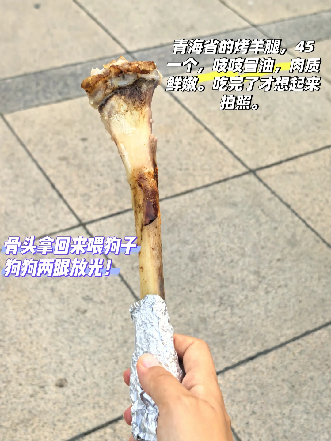 给明天去北展“味到京城美食节”馋猫的建议