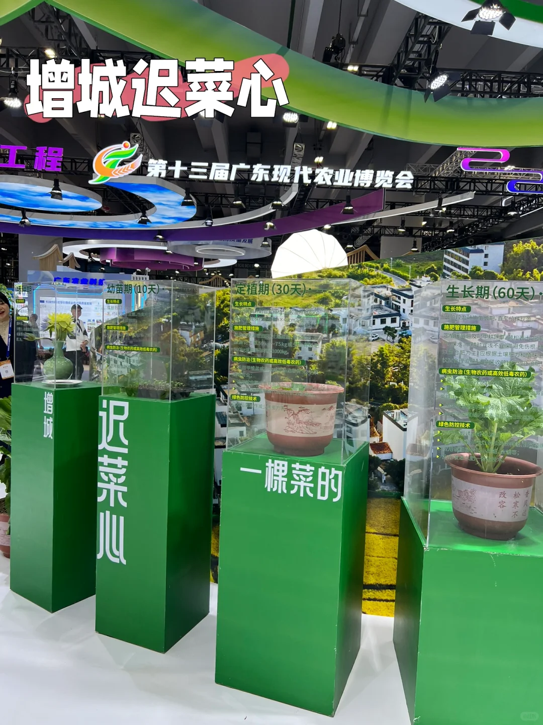 超好吃又好买的农业交易会