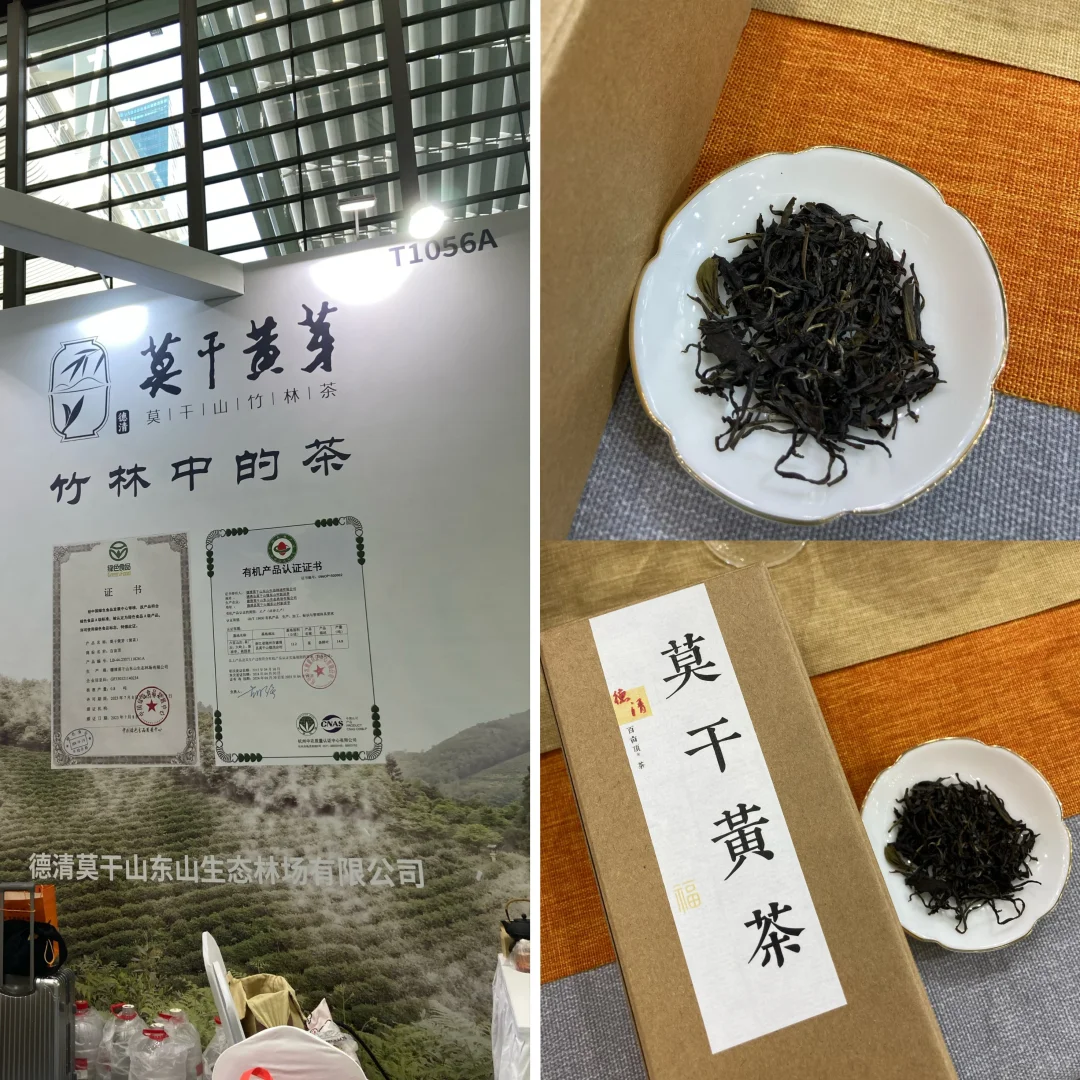那些年逛过的茶博会·2024（秋）