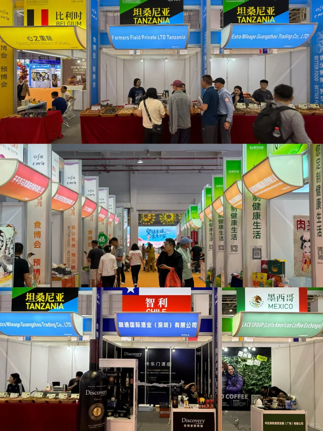 限时三日‼️东莞人不要错过！！！