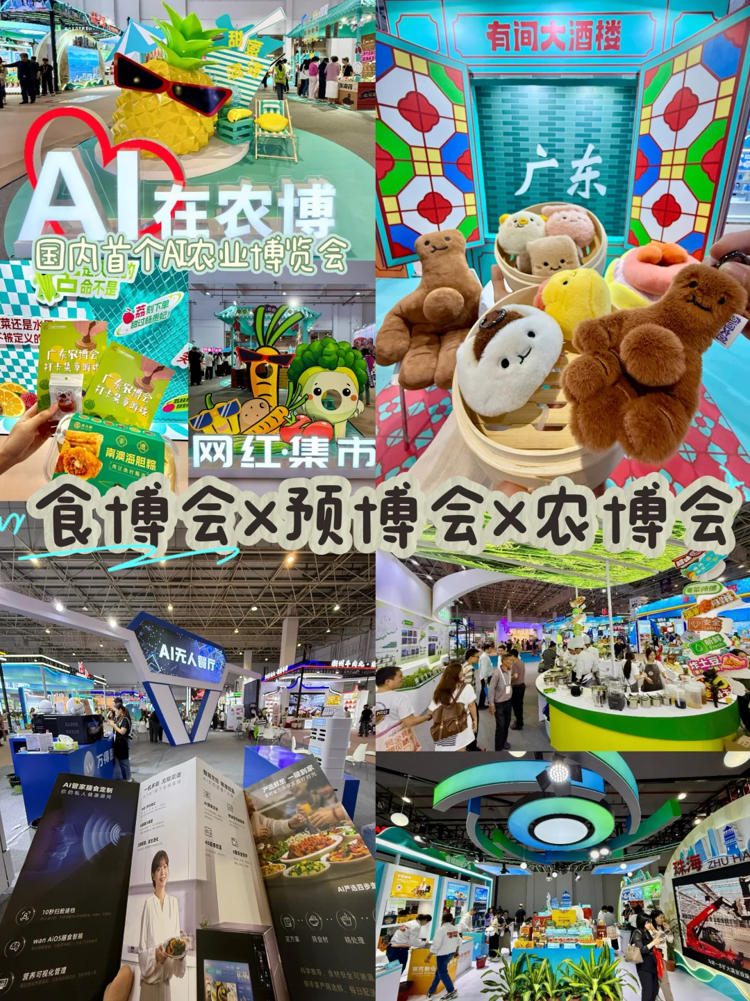 限时三日‼️东莞人不要错过！！！