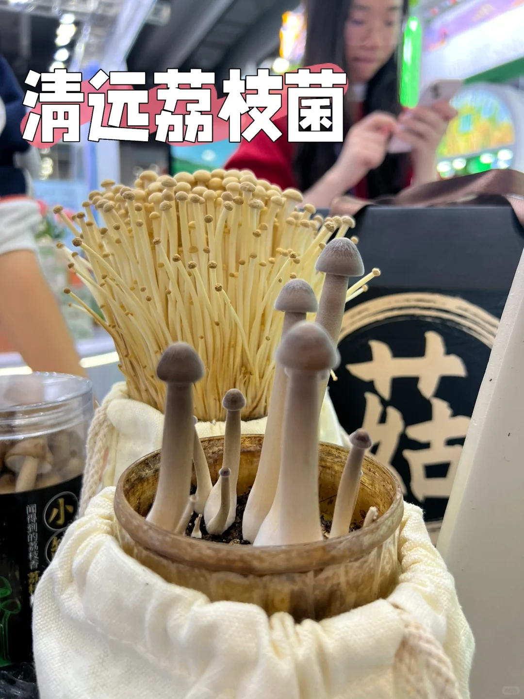 超好吃又好买的农业交易会