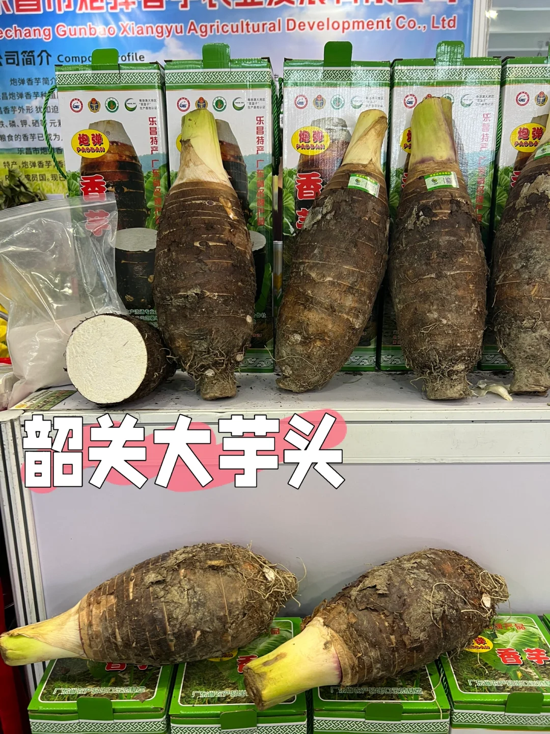 超好吃又好买的农业交易会