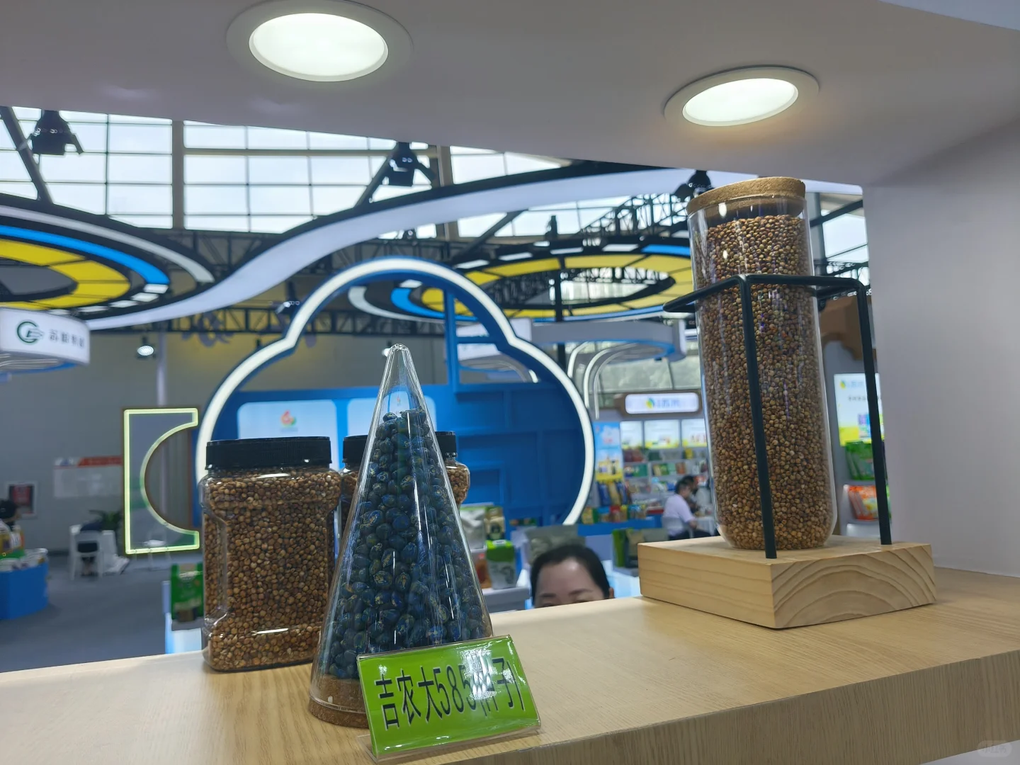 全国各省组织展台到沈阳参展，这个展览牛