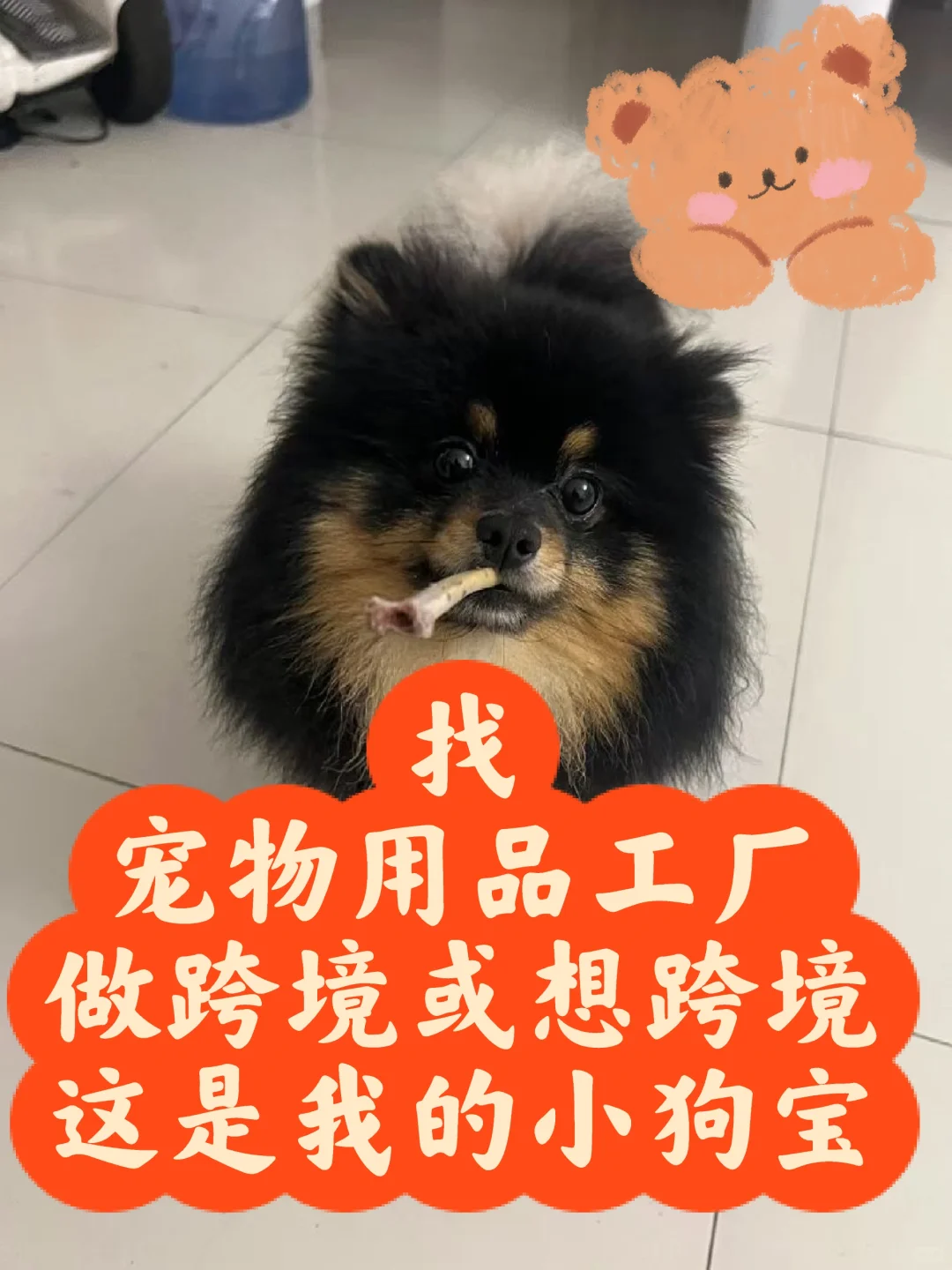 寻求宠物用品工厂跨境