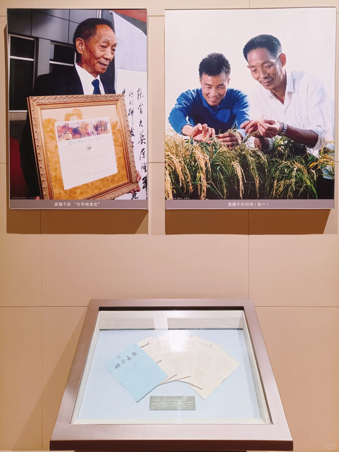 【全国农业展览馆】看展+赏景+盖章+展销会