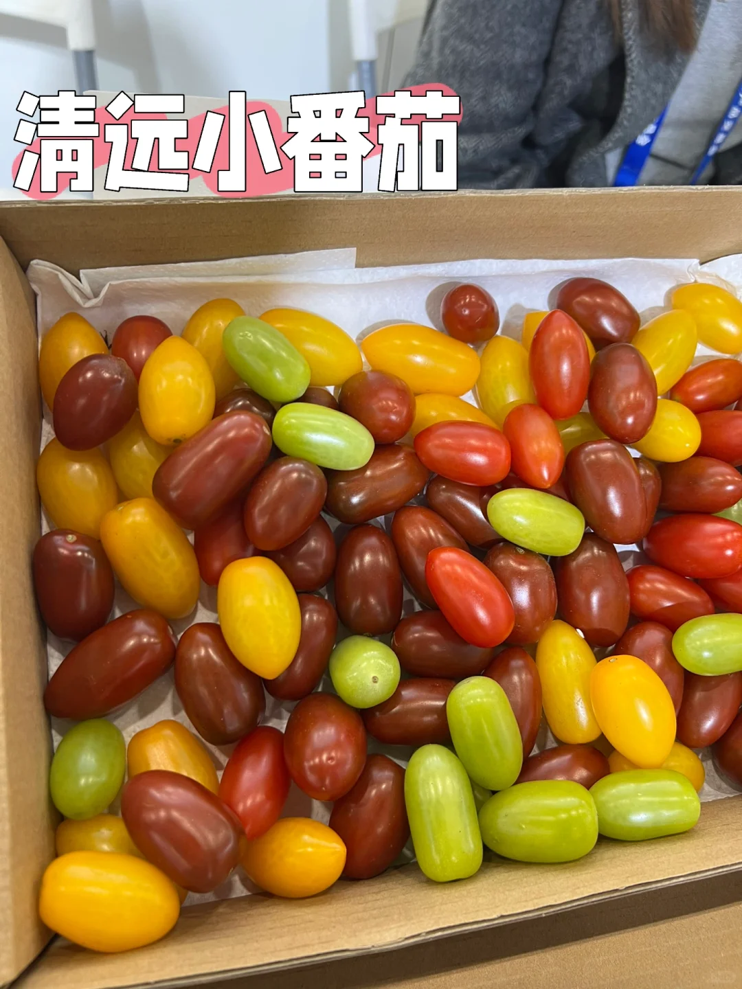 超好吃又好买的农业交易会