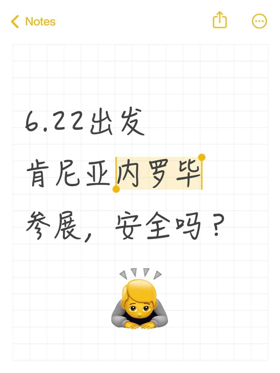 6.22出发肯尼亚内罗毕参展，安全吗？