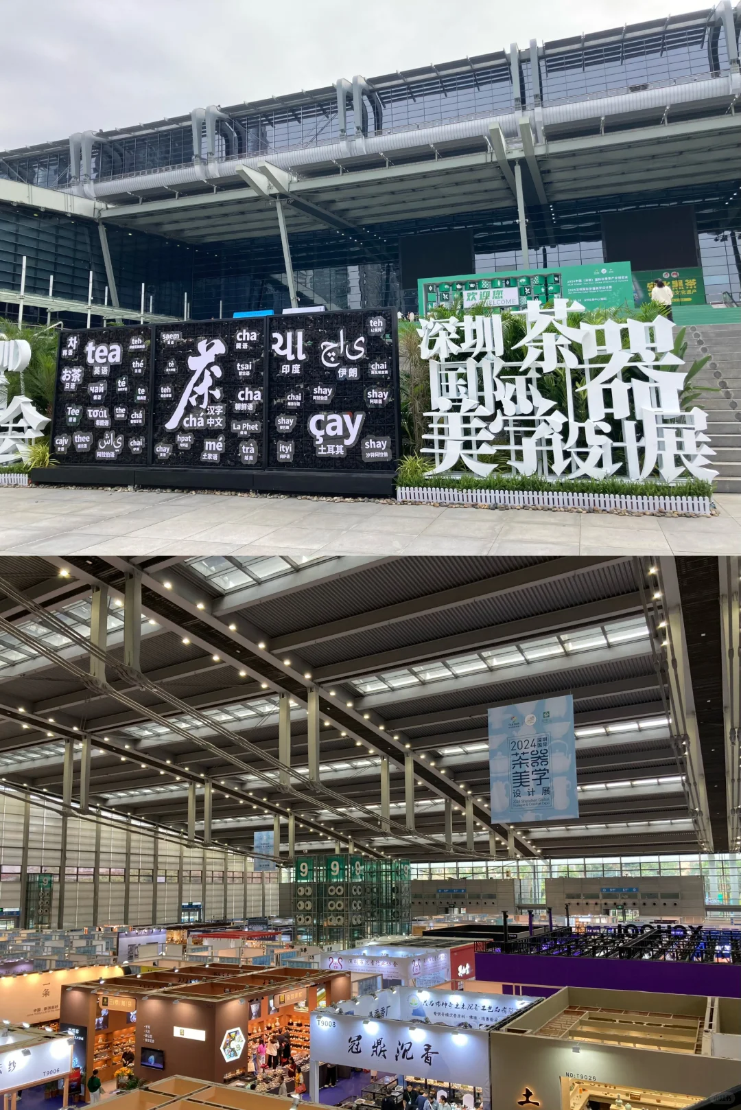 那些年逛过的茶博会·2024（秋）