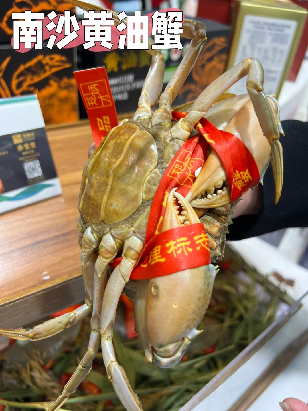 超好吃又好买的农业交易会