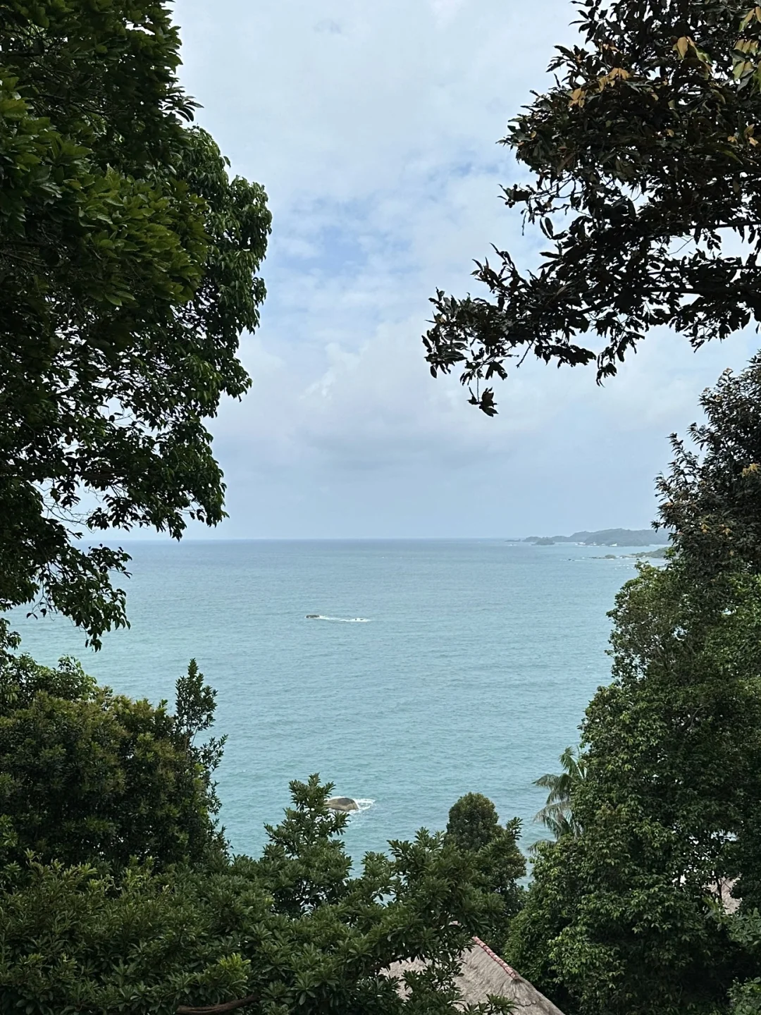我是属于海边的 ?