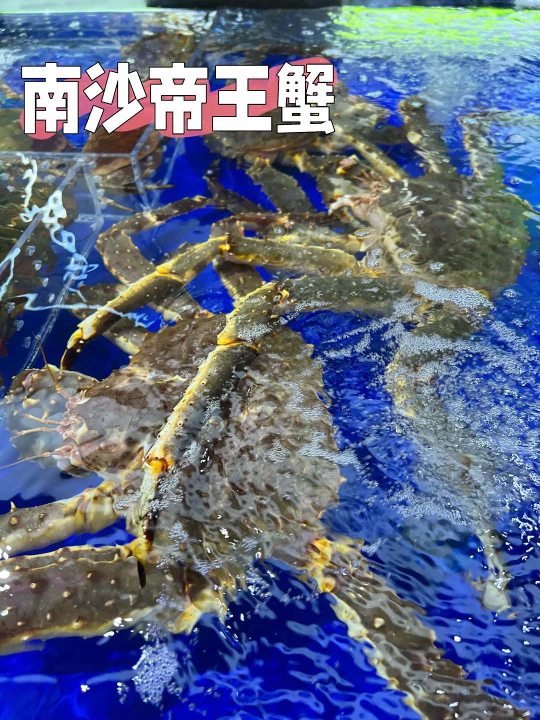 超好吃又好买的农业交易会