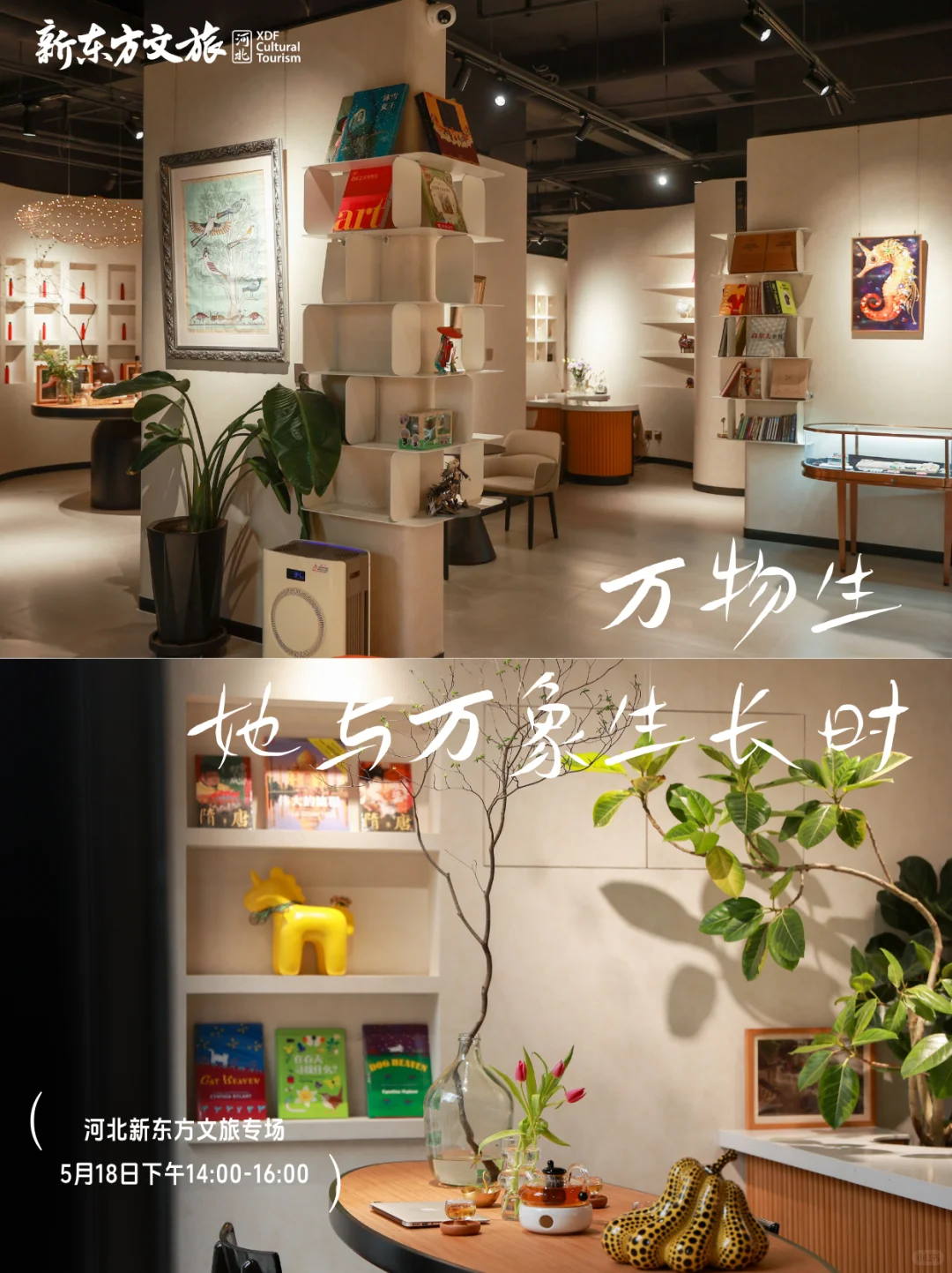 石家庄个人画展后天开始了