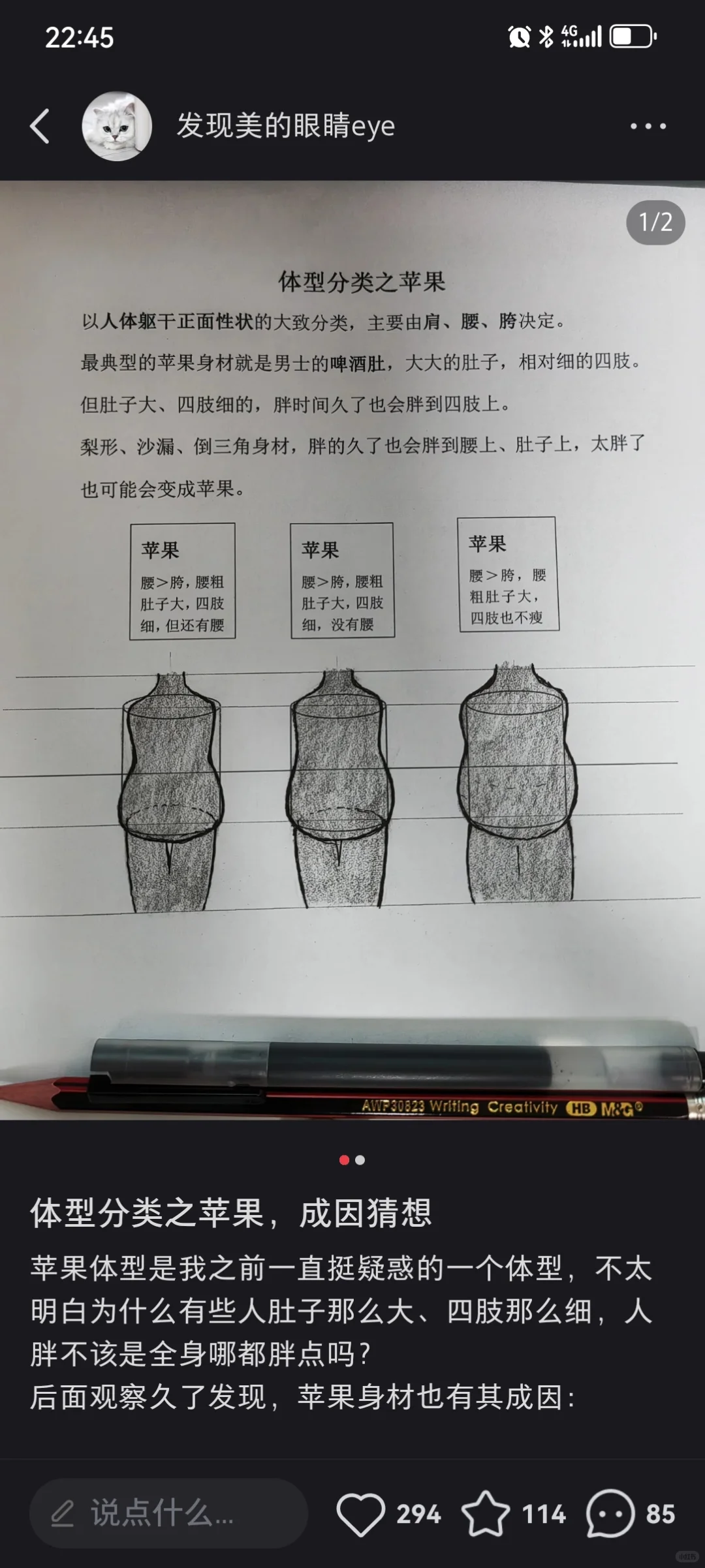 我们国人好像确实真梨型身材少