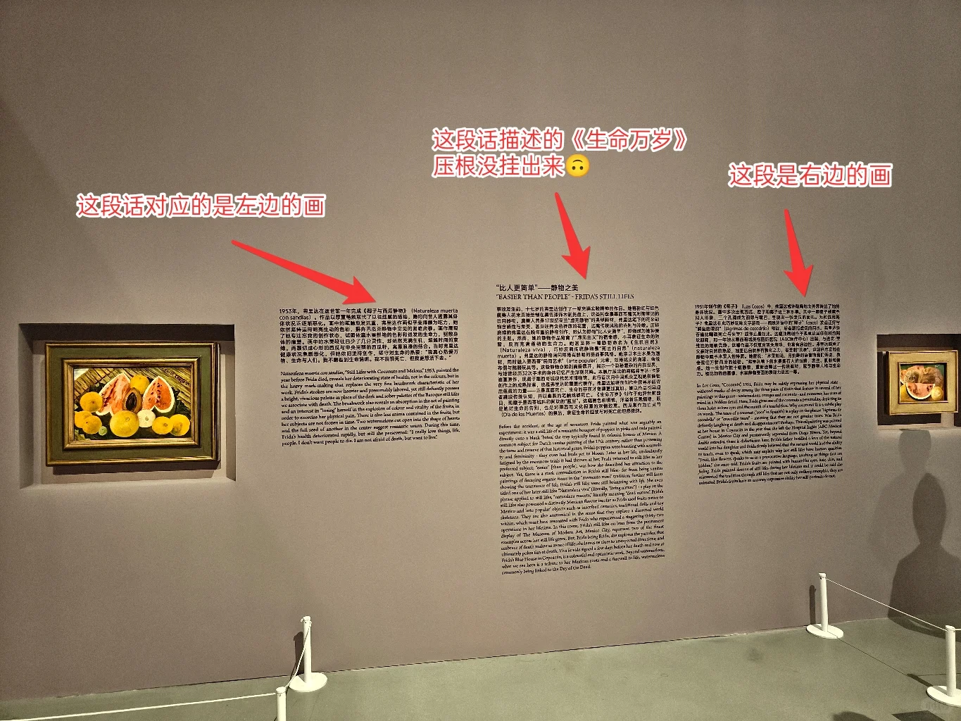 近几年看过最烂的展?