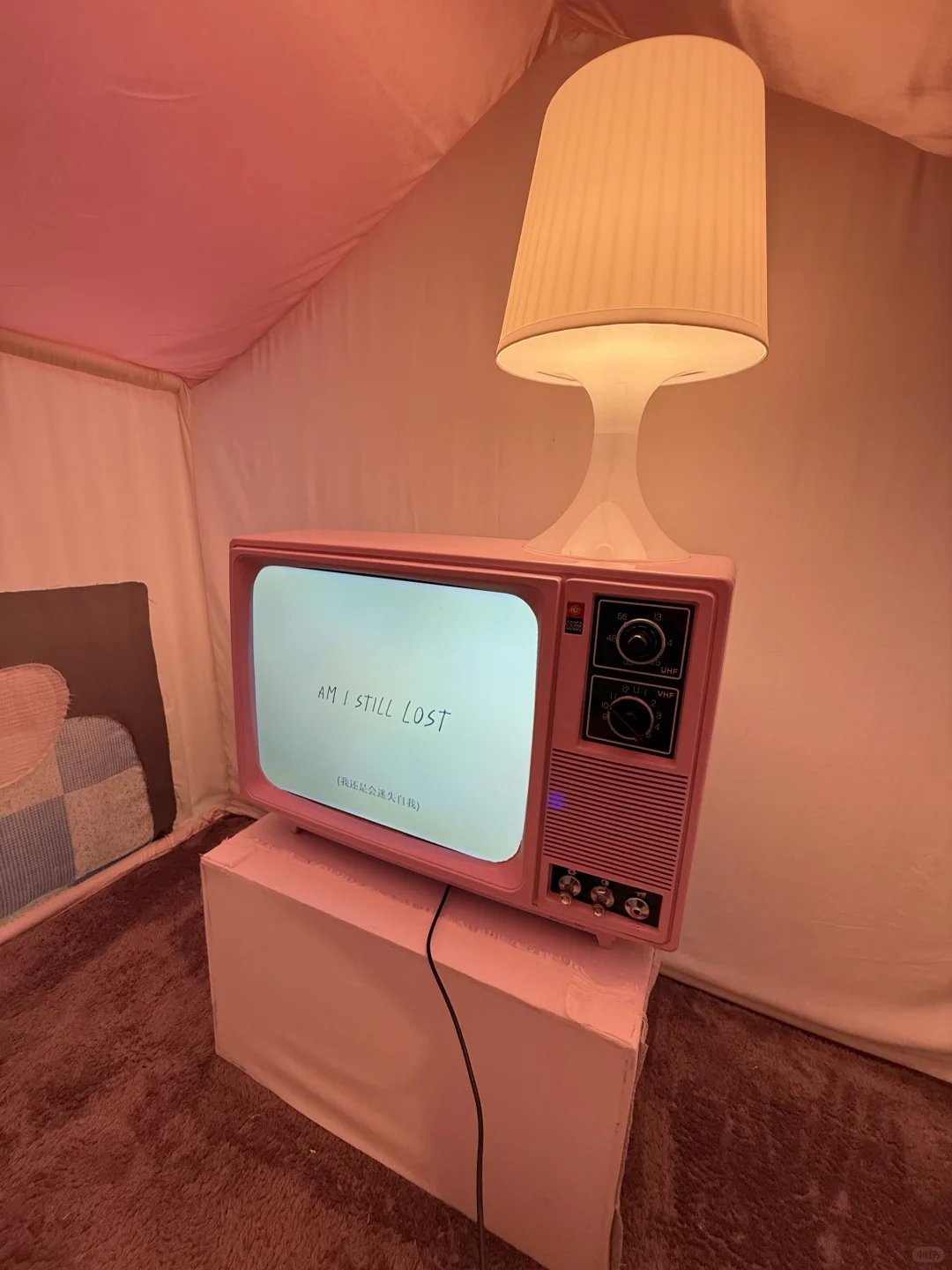 一个展览。