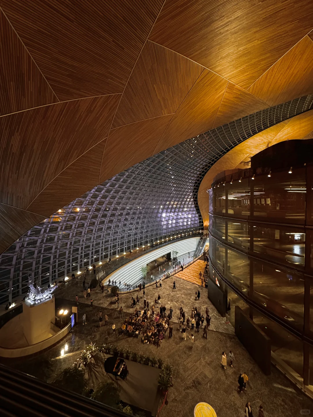 北京?人生建议去一次国家大剧院