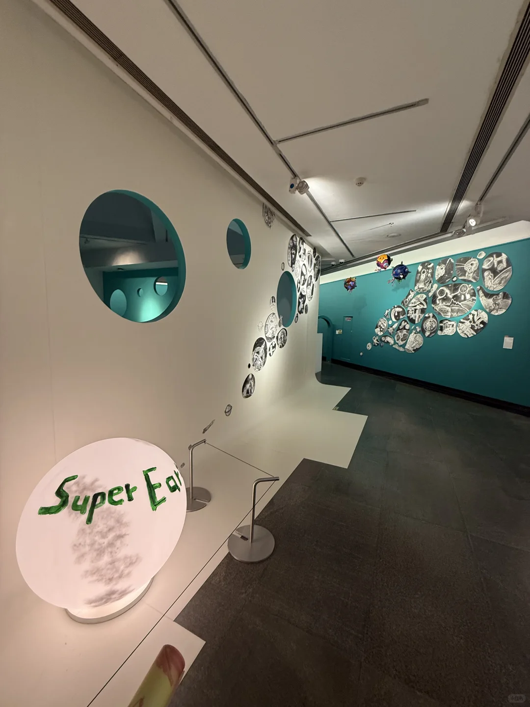 一个展览。