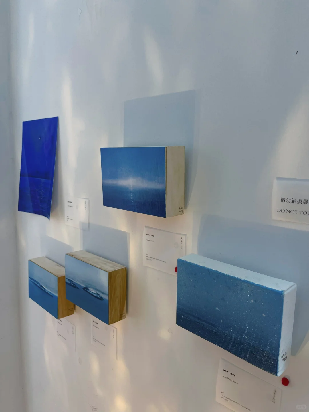 上海免费新展｜关于浪漫，海占一半?