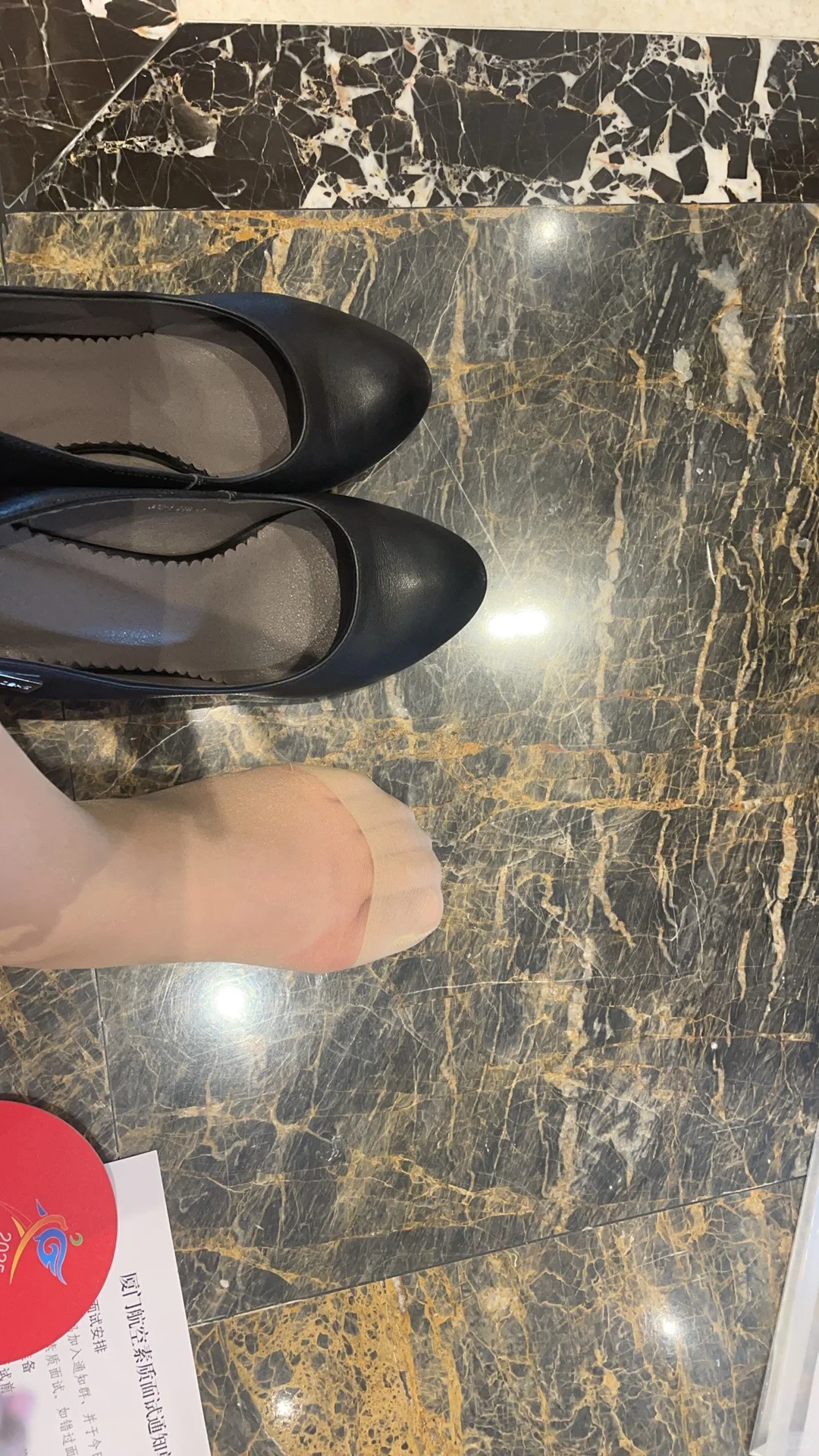 参加个推介会不要这么卷呜呜