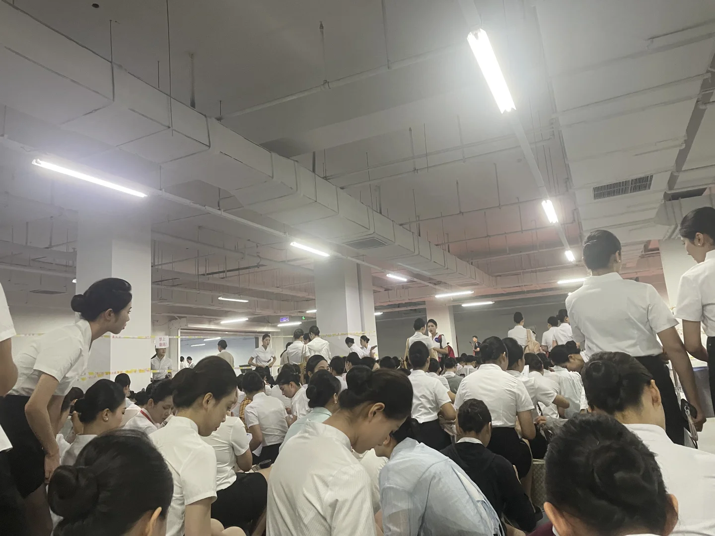 参加个推介会不要这么卷呜呜