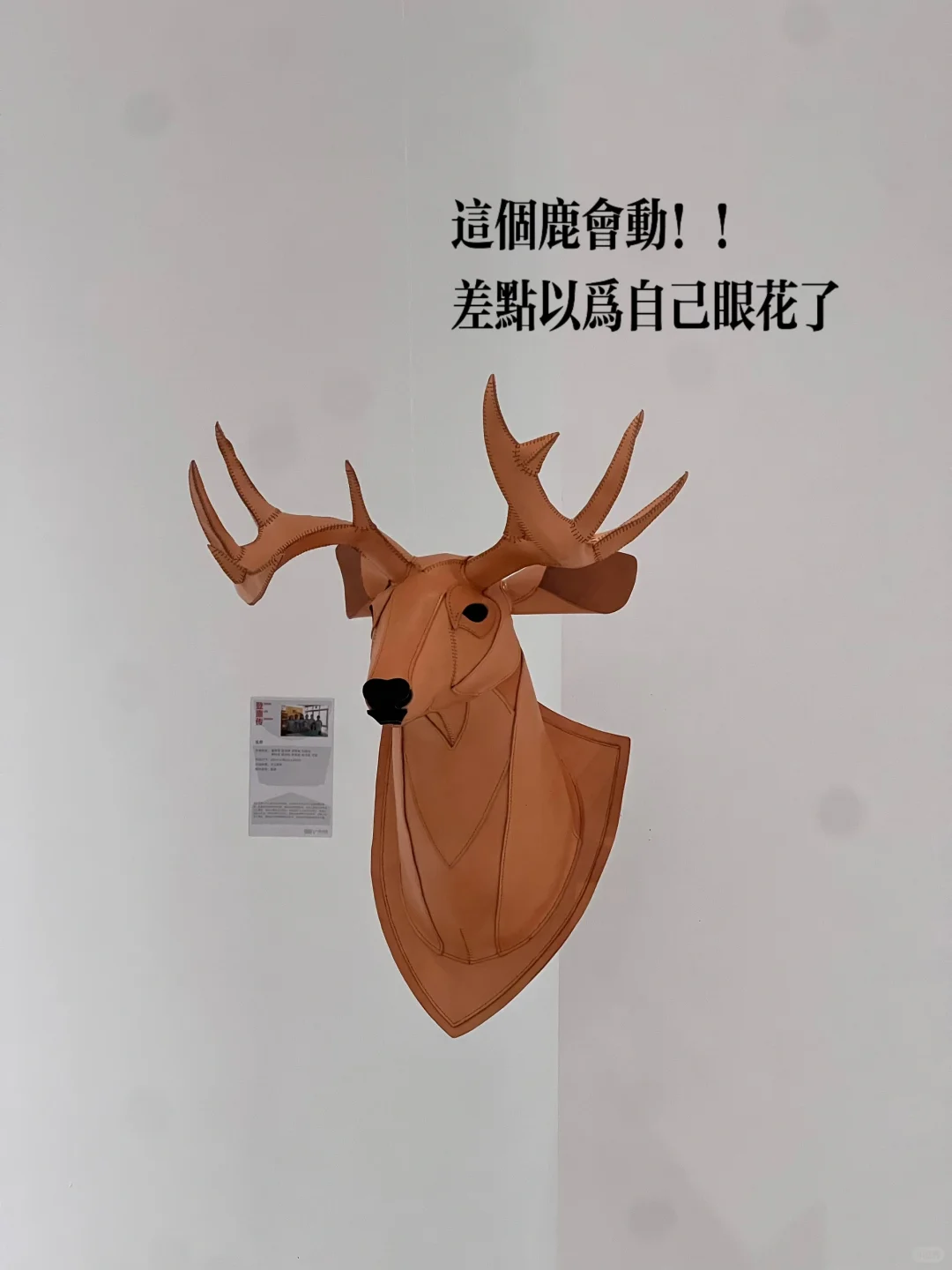 中山免费新展?限定毕业展！巨好拍?