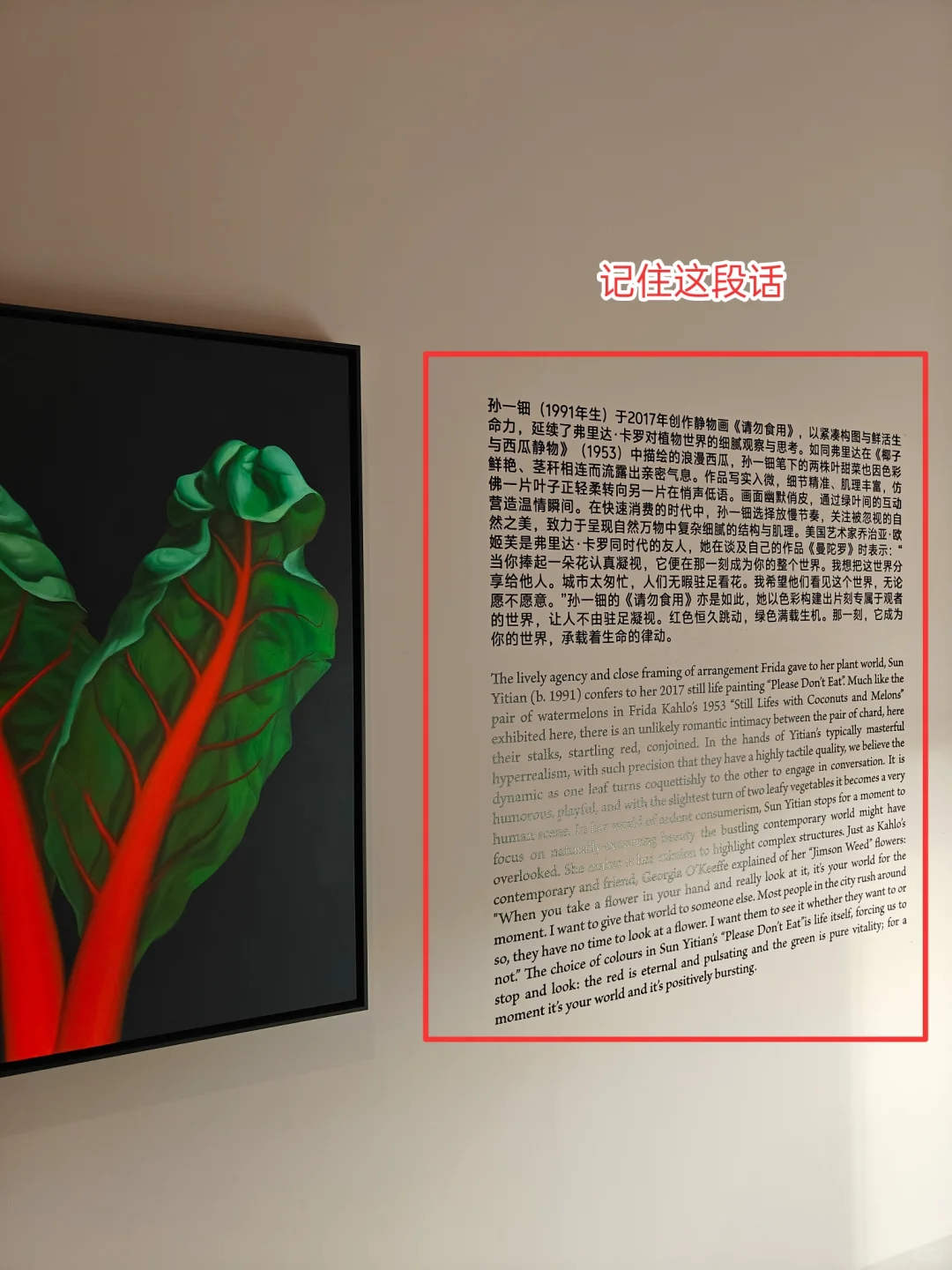 近几年看过最烂的展?