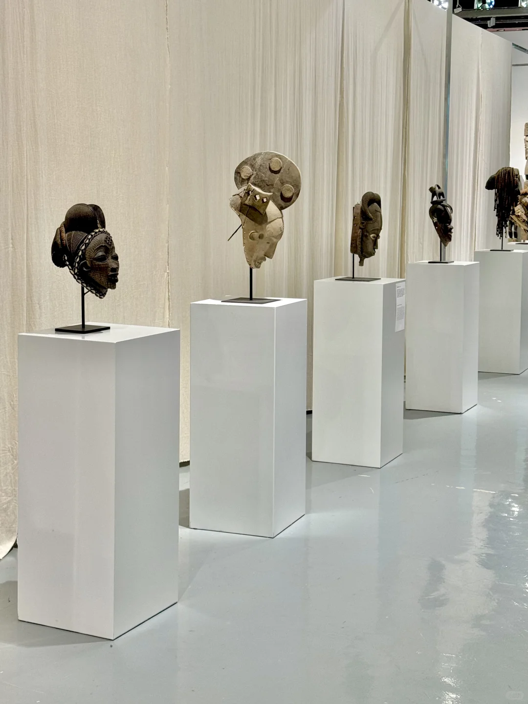 深圳看展｜感受热带雨林的神秘魅力