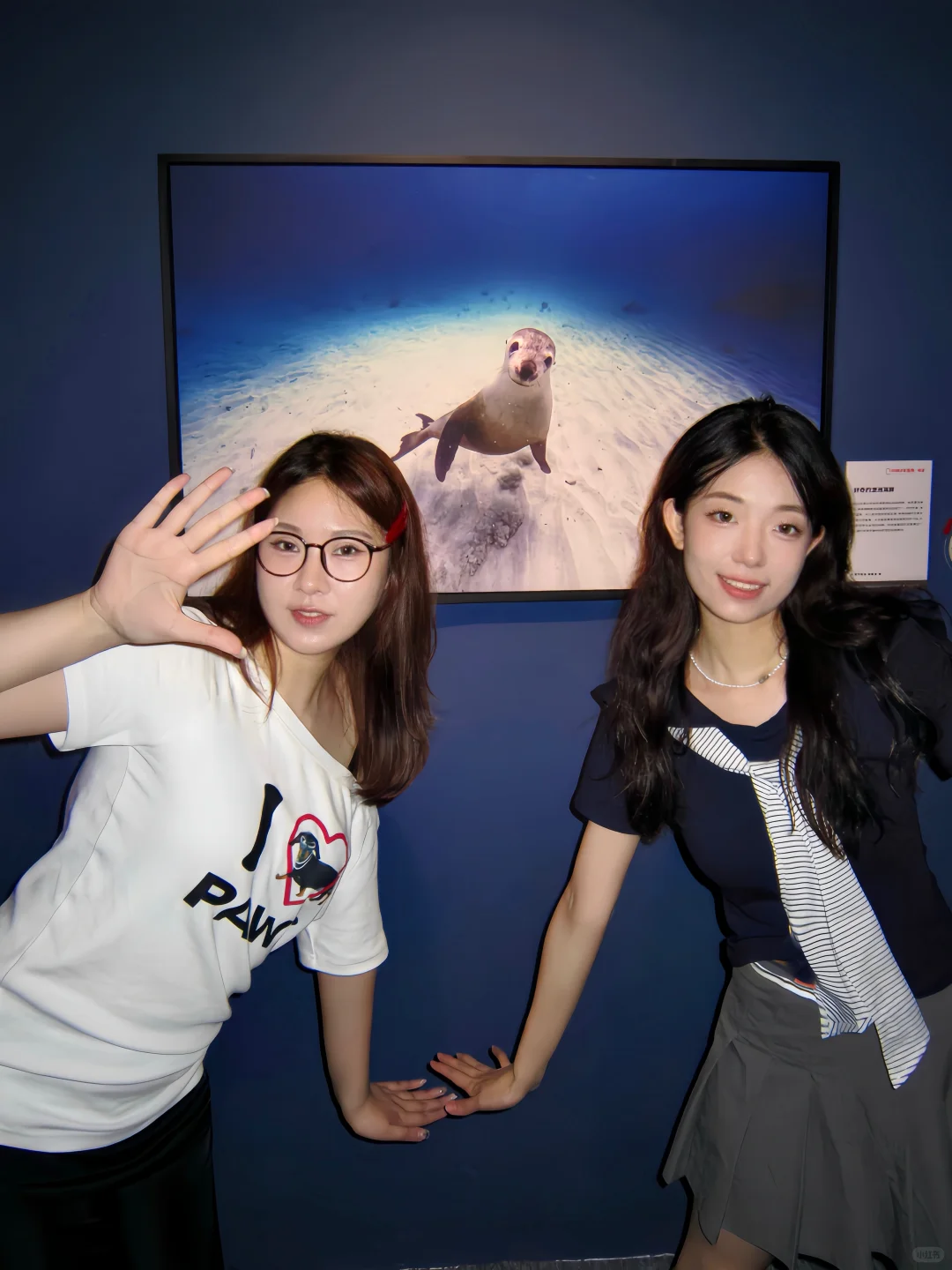 石家庄！中国国家地理展?太好拍了