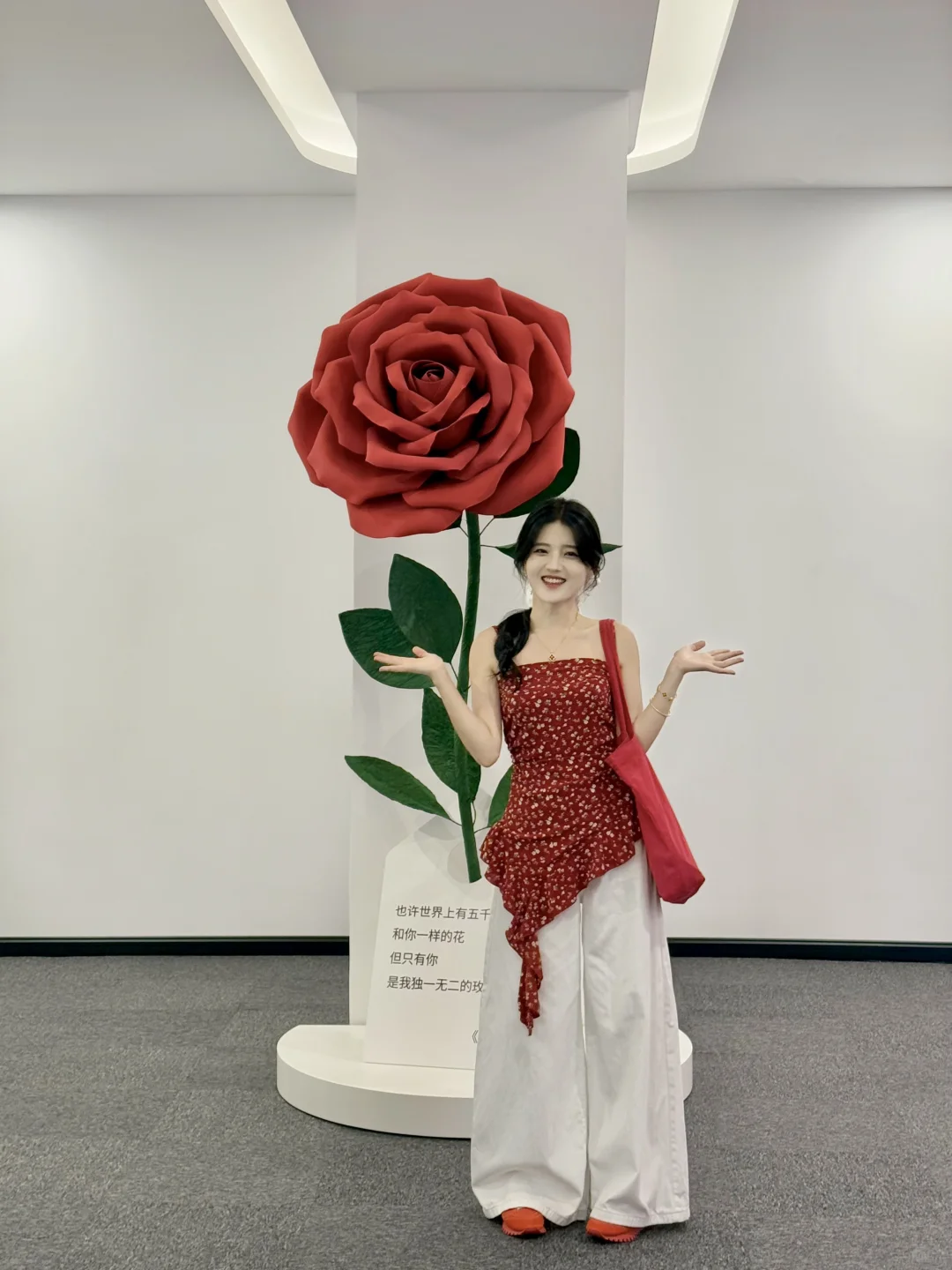 深圳免费新展?掉进彩色世界里?爆好看