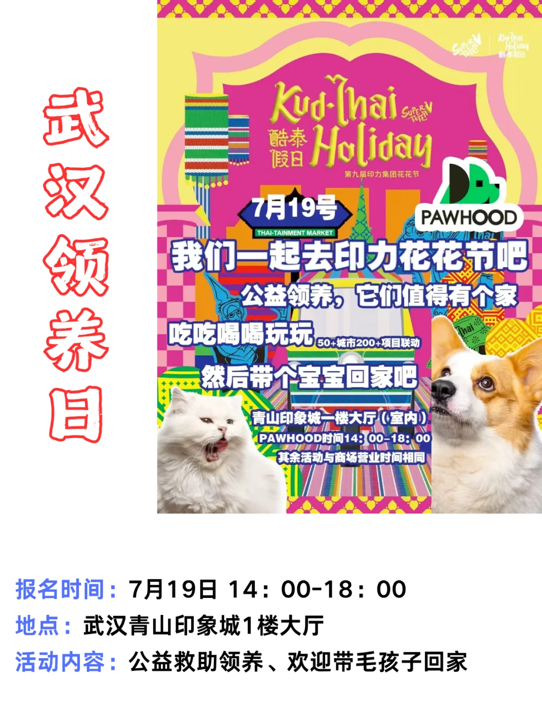 武汉7月宠物活动第三弹 | 给狗狗找个班上