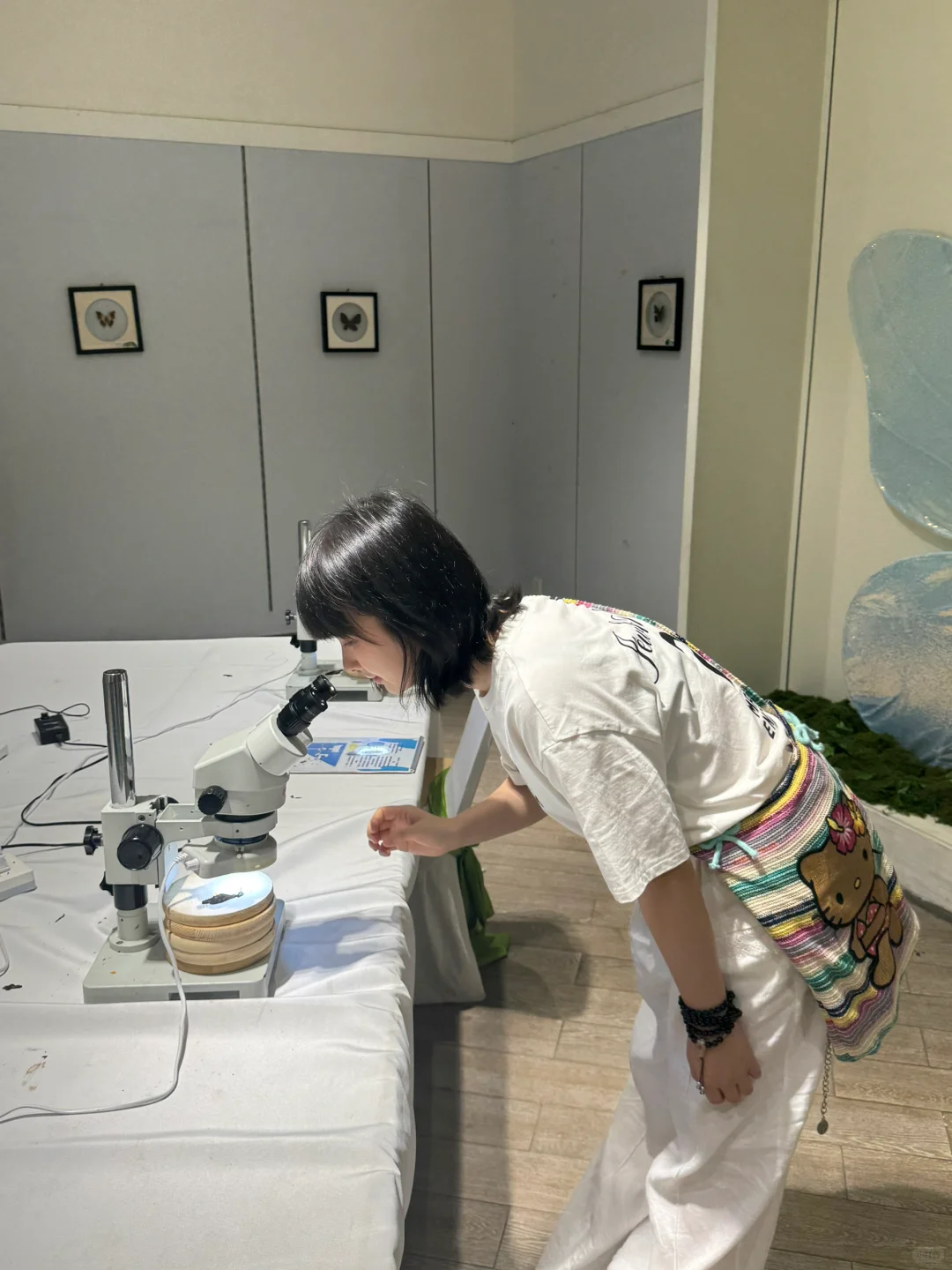 深圳免费新展❗️500平米首家大型蝴蝶展～