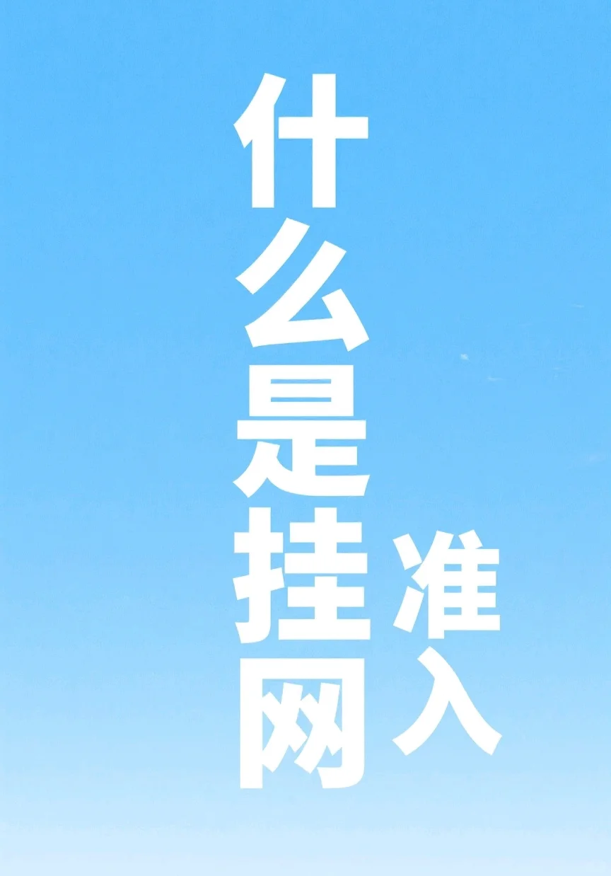 挂网，准入是什么意思，基本逻辑