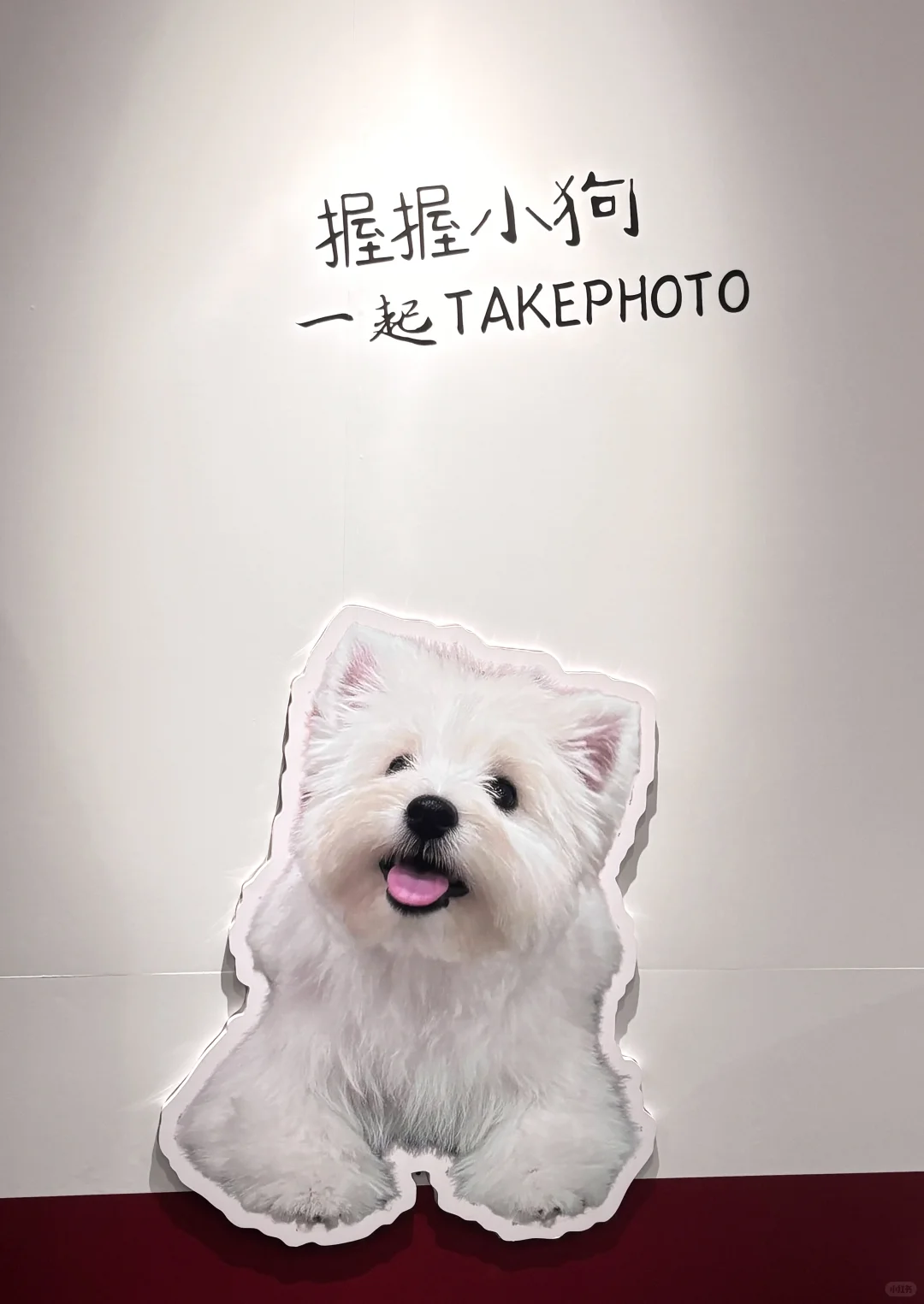 深圳新展❗️免费免预约‼️闯入多巴胺的世界～