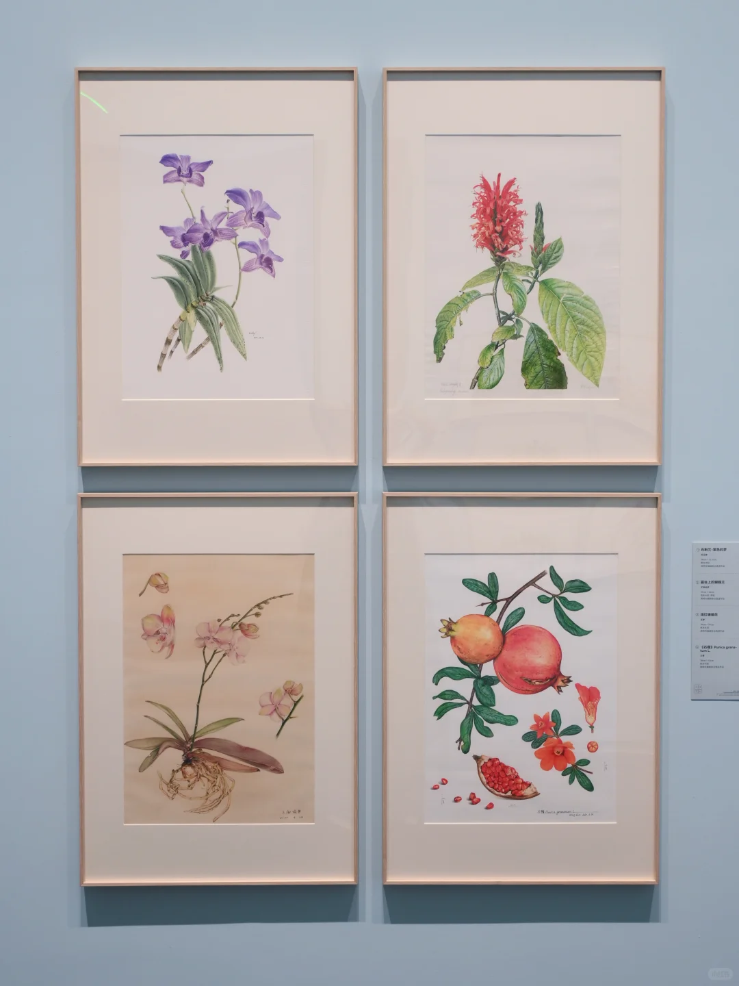 深圳免费新展｜艺术与科学的奇妙碰撞?