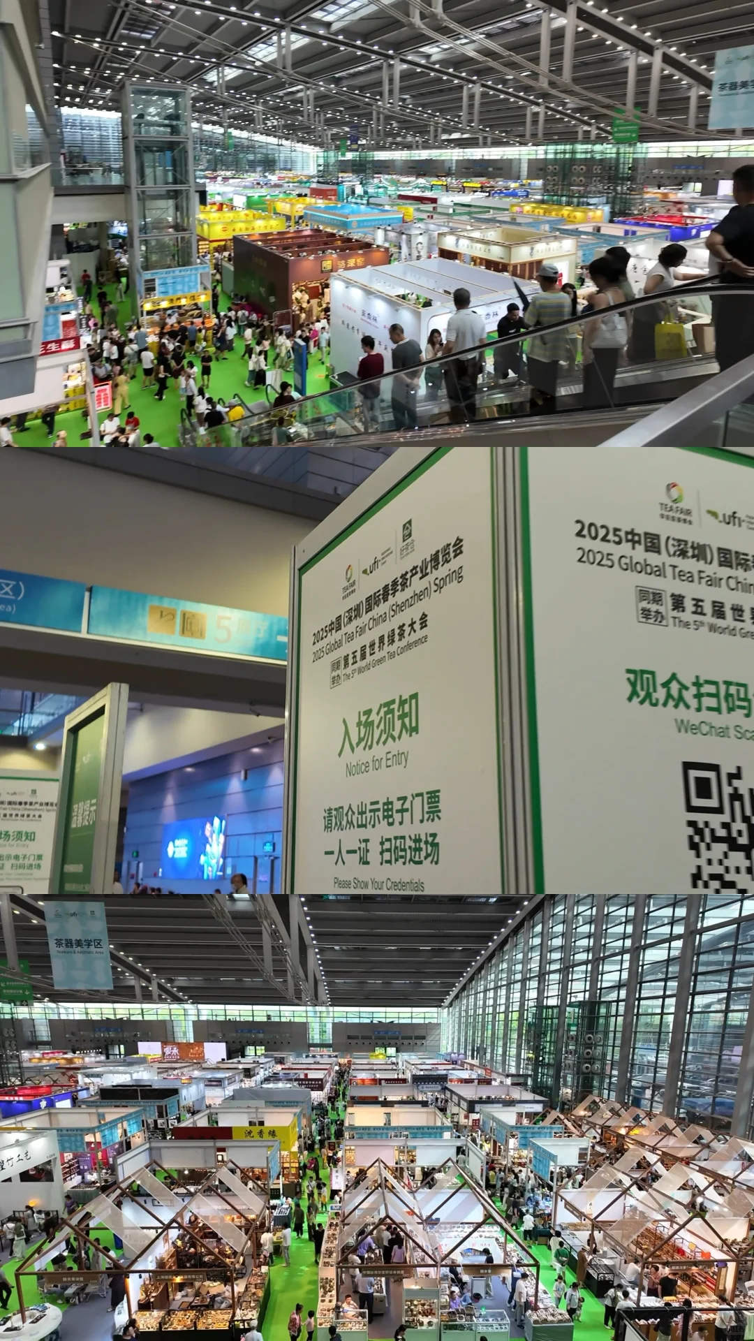 2025深圳茶博会，记录一些真实感受