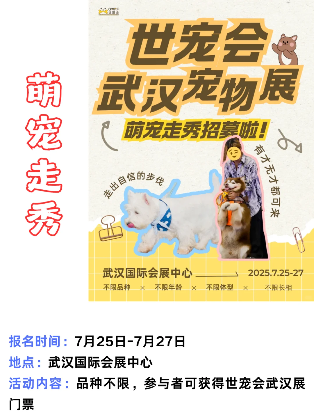 武汉7月宠物活动第三弹 | 给狗狗找个班上