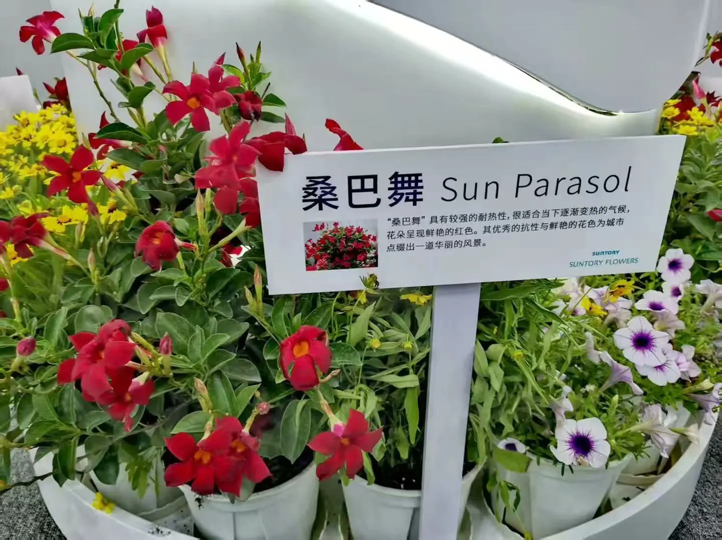 第三届中国国际供应链促进博览会