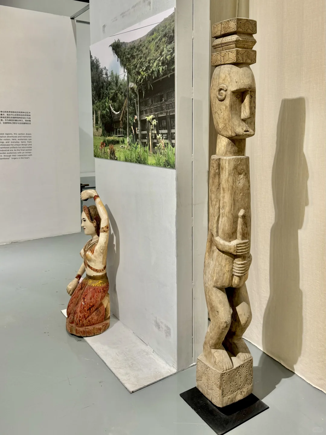 深圳看展｜感受热带雨林的神秘魅力