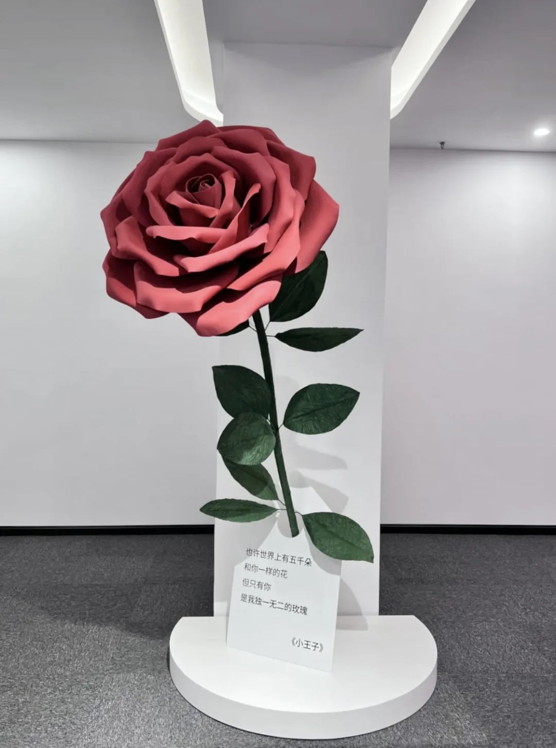 深圳新展❗️免费免预约‼️闯入多巴胺的世界～