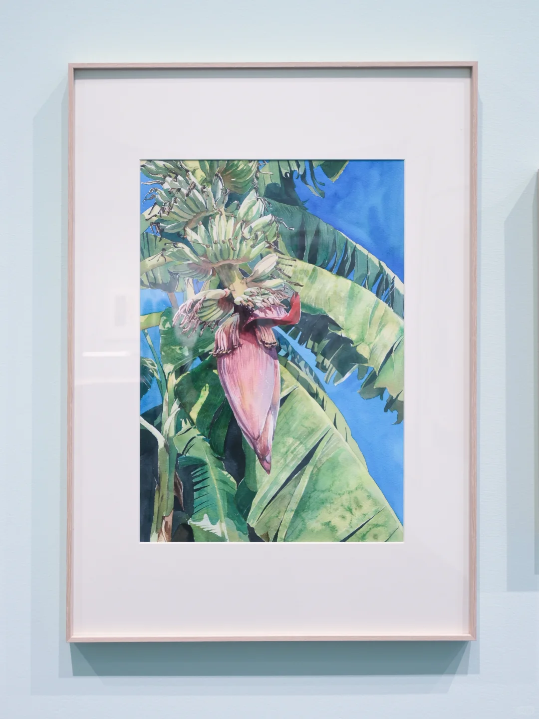 深圳免费新展｜艺术与科学的奇妙碰撞?