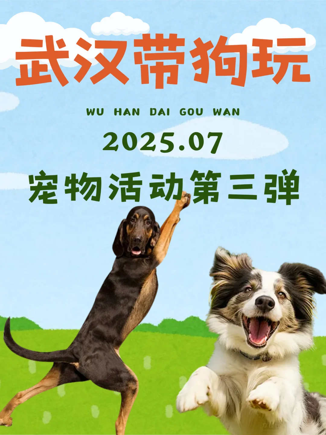 武汉7月宠物活动第三弹 | 给狗狗找个班上