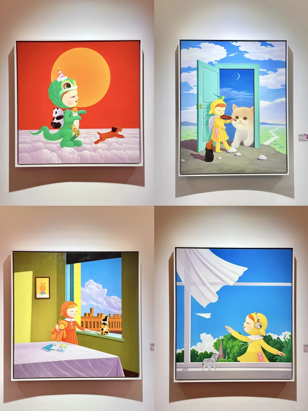 深圳可爱的新展！