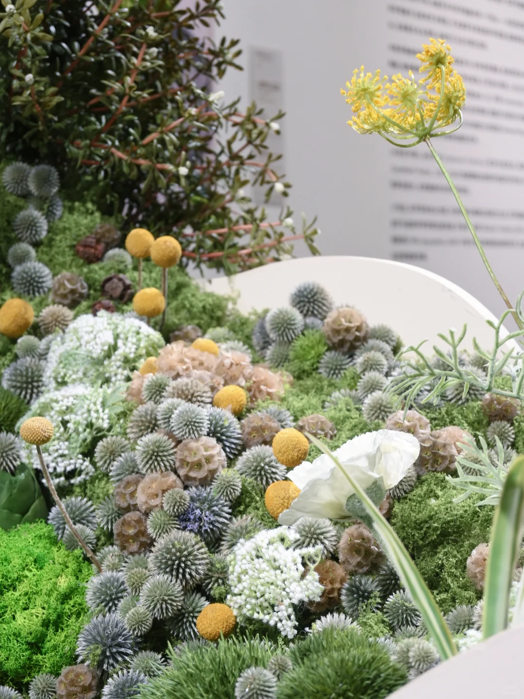 深圳免费新展｜艺术与科学的奇妙碰撞?