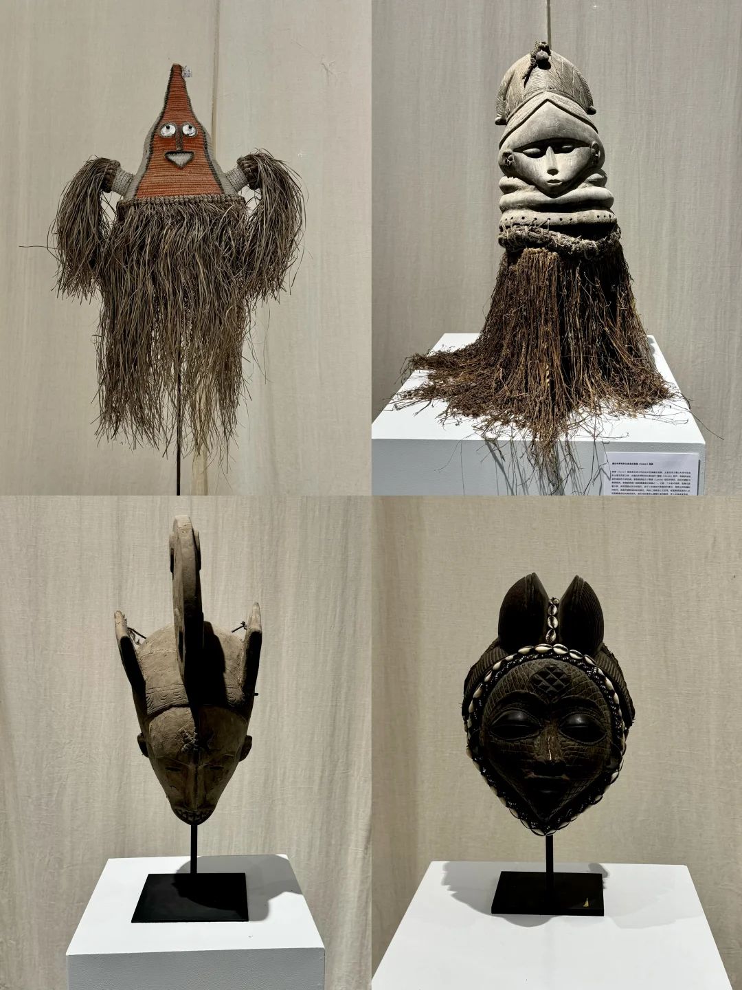 深圳看展｜感受热带雨林的神秘魅力