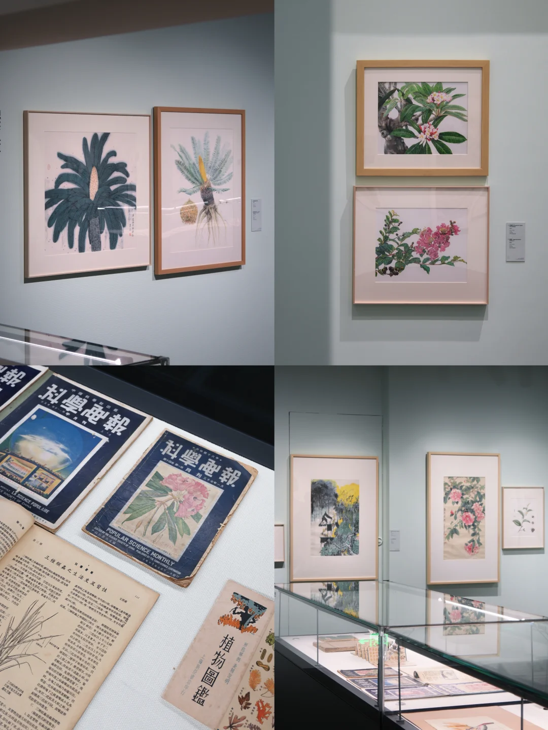 深圳免费新展｜艺术与科学的奇妙碰撞?
