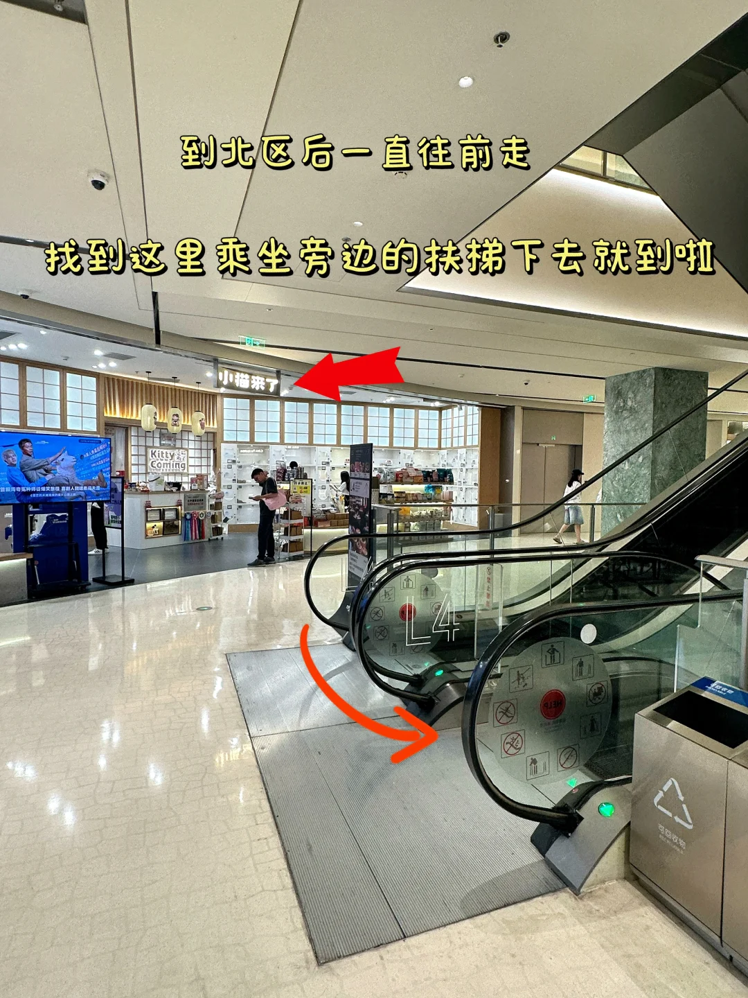 深圳巨人展｜终于轮到我来拍了❗️