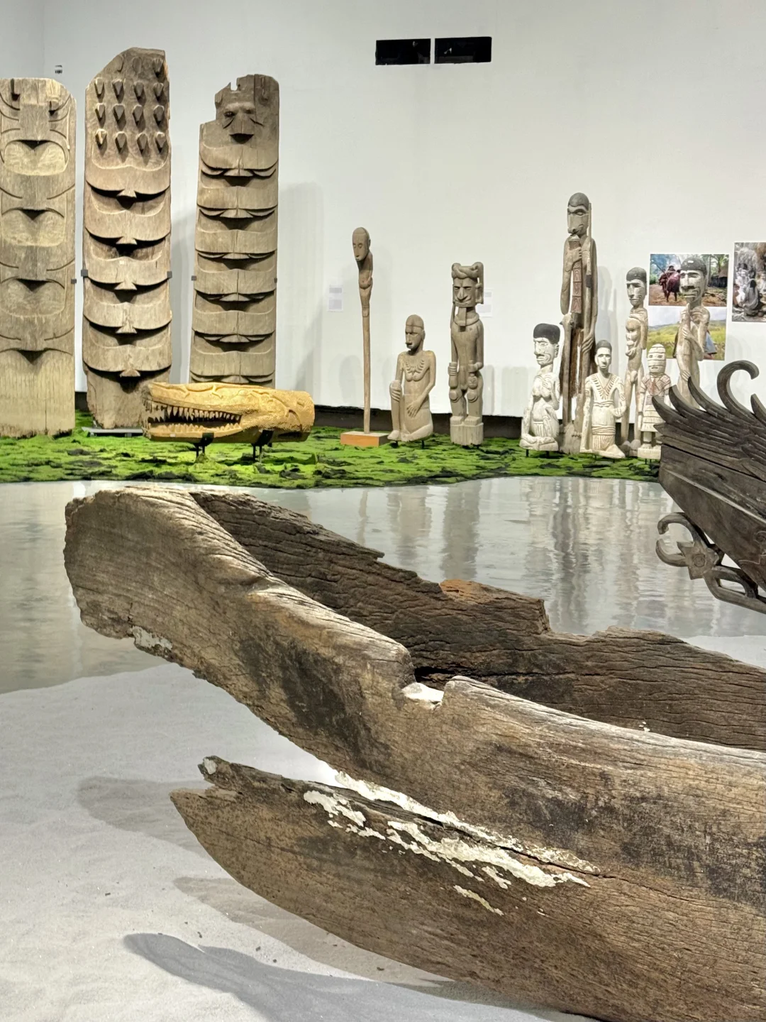深圳看展｜感受热带雨林的神秘魅力